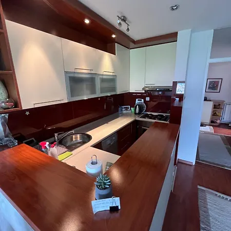 Apartment Asja